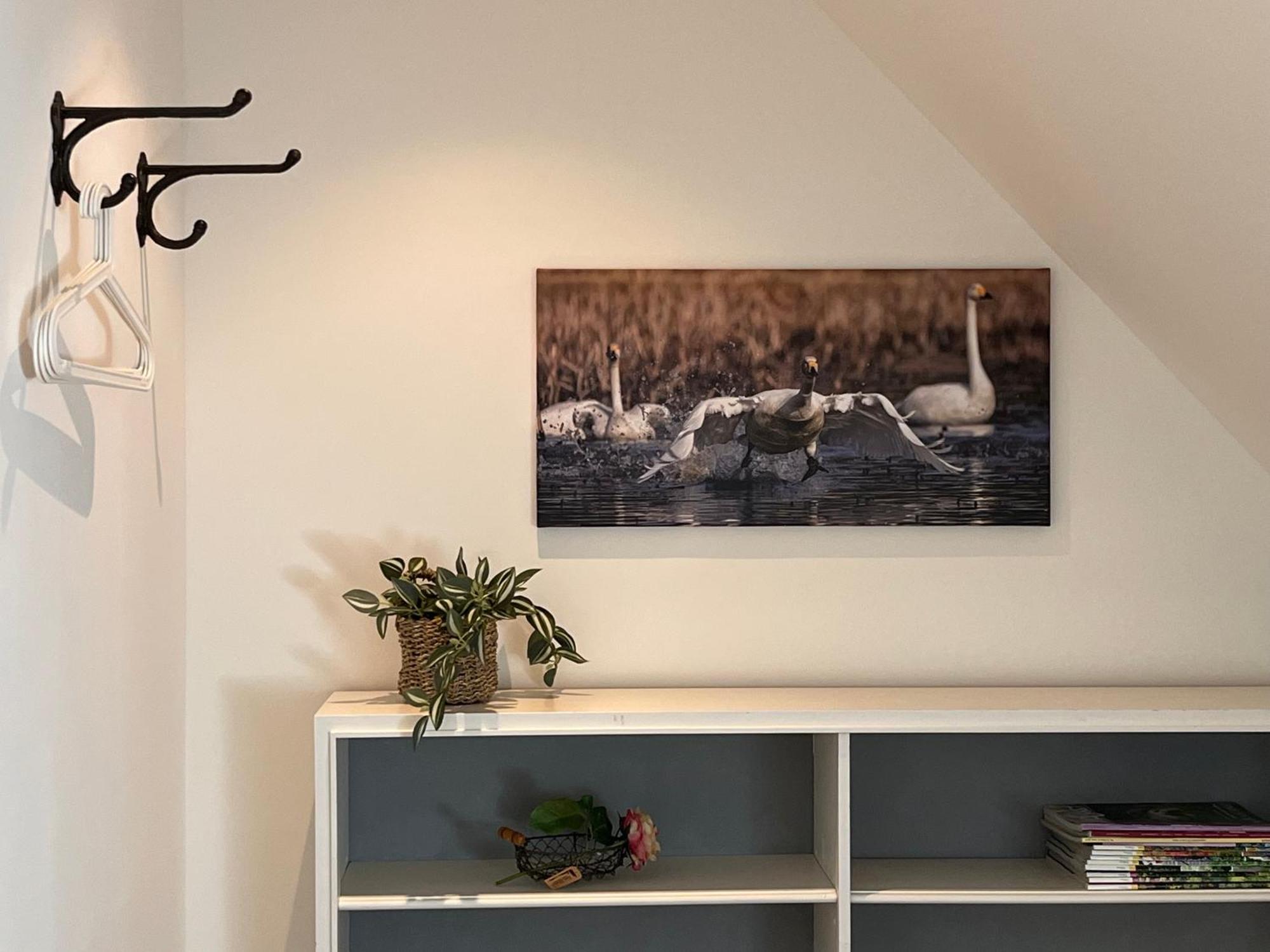 Elb Nest Gaestehaus Neu Darchau 外观 照片