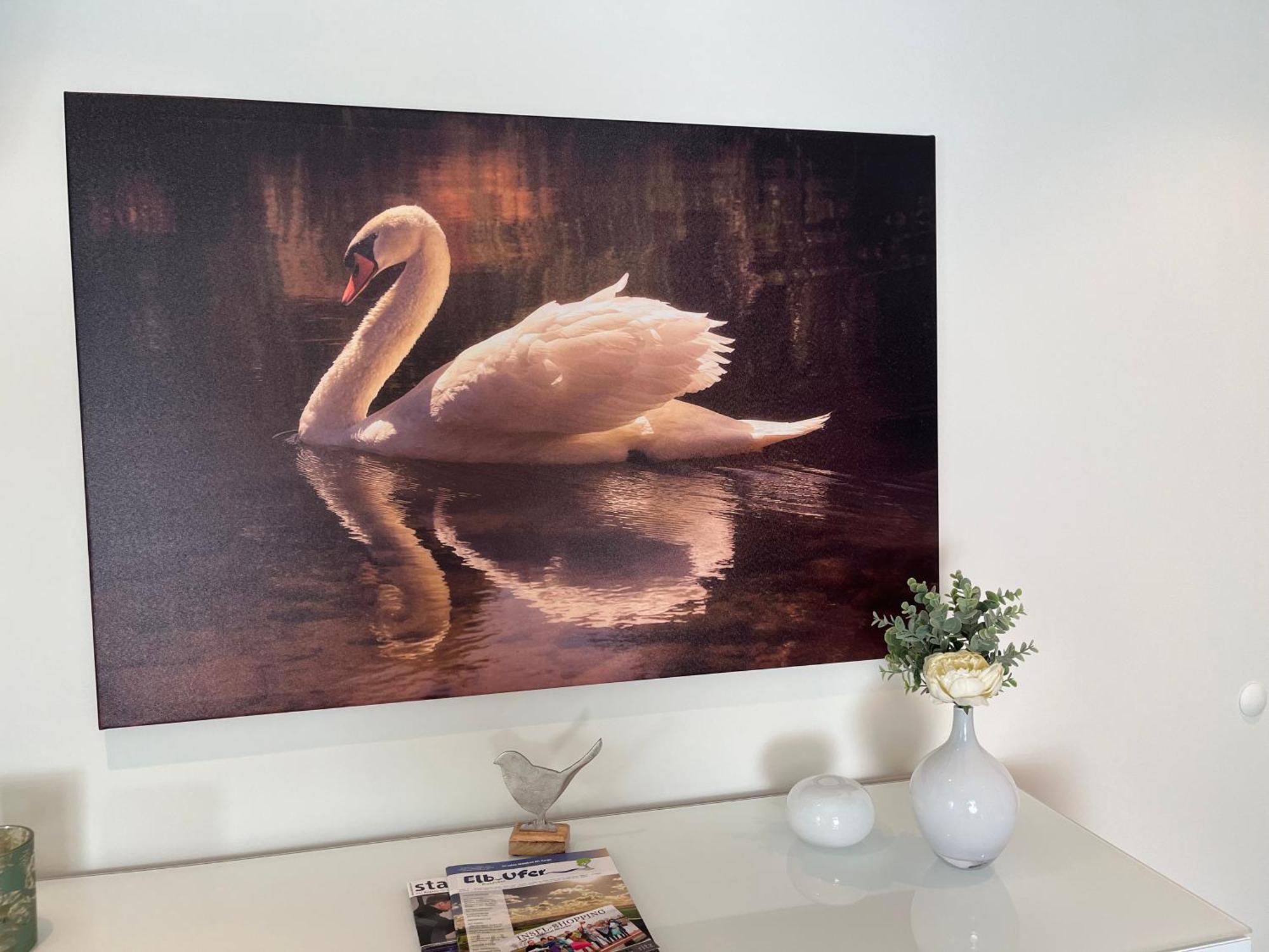 Elb Nest Gaestehaus Neu Darchau 外观 照片