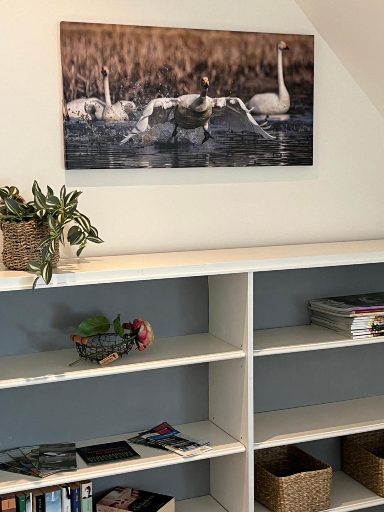 Elb Nest Gaestehaus Neu Darchau 外观 照片